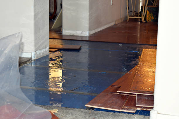 Professional Burst Pipe Water Damage technician working in Wildwood, FL